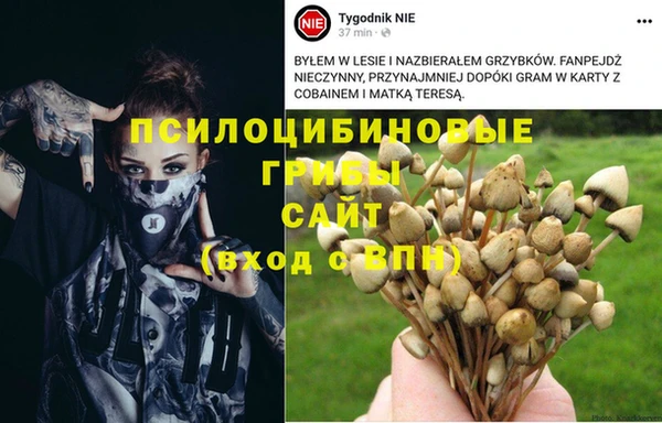 марки lsd Карпинск